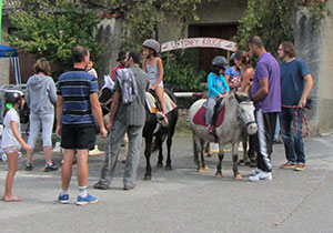 animation poney