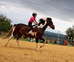 chevaux
