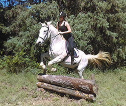 au galop