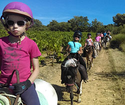 Tour à poney